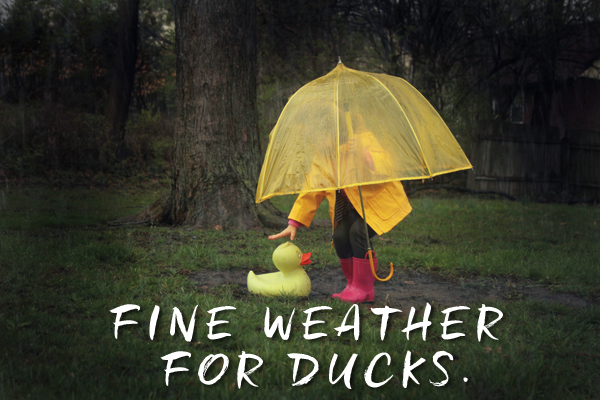 Fine weather for ducks